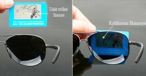 Perbedaan Kacamata Polarized Asli Dan Palsu